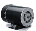 BN34V1 Century Pool Pump Motor 1.5 - .188 HP 3600 RPM 48Y Frame