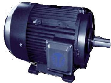 P106T256T TEFC Cast Iron Motor 10 HP 1200 RPM