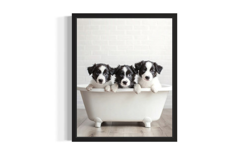 Border Collie wall art poster print