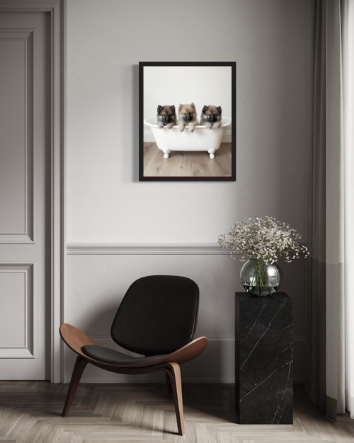 Keeshond Wall Art Print Poster