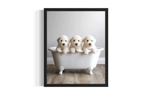 Komondor wall art poster print