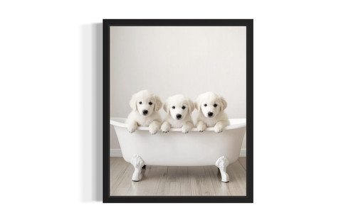 Kuvasz wall art poster print