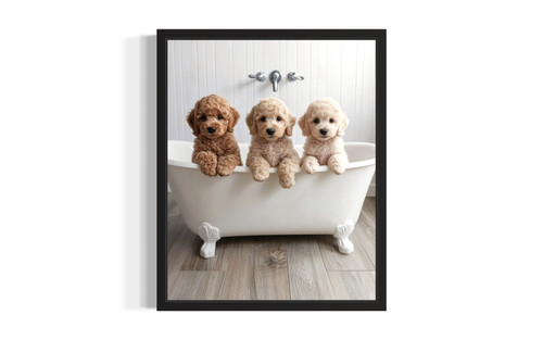 Standard Poodle wall art poster print