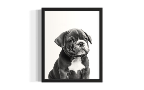 Bulldog Black  Wall Art Print Poster