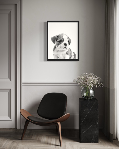 Bulldog White  Wall Art Print Poster