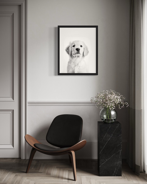 Golden Retriever White  Wall Art Print Poster