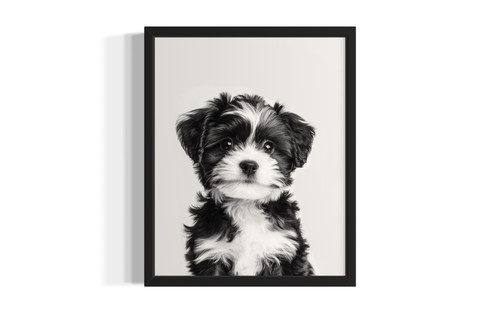 Havanese wall art poster print