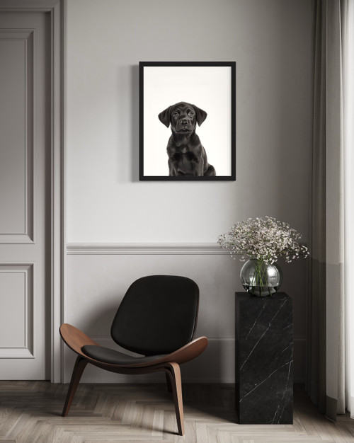 Labrador Retriever  Wall Art Print Poster