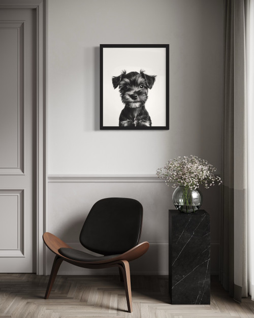 Miniature Schnauzer  Wall Art Print Poster
