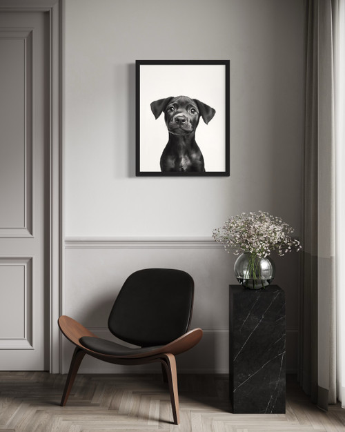 Rhodesian Ridgeback  Wall Art Print Poster