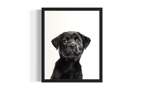 Rottweiler wall art poster print