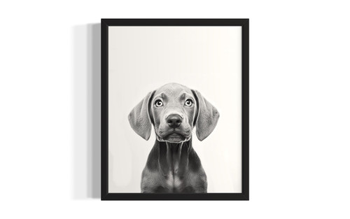 Weimaraner wall art poster print