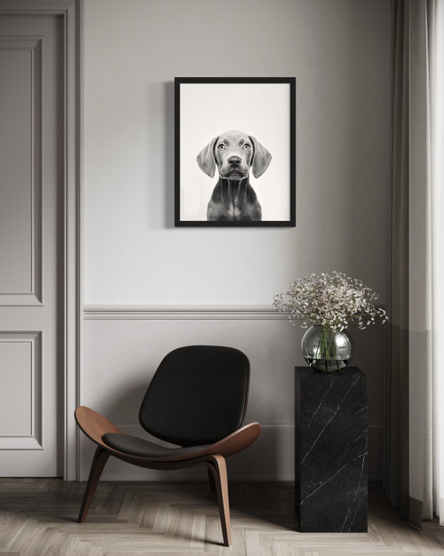 Weimaraner  Wall Art Print Poster