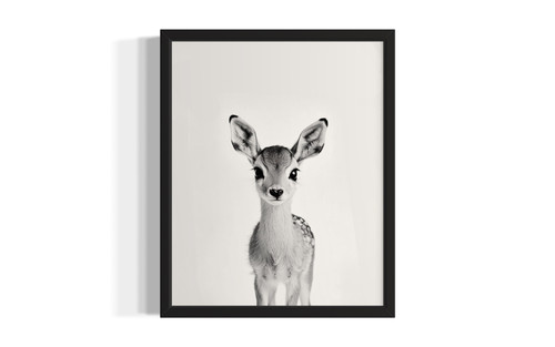 Antelope wall art poster print