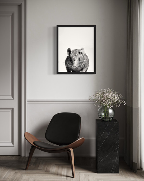 Armadillo  Wall Art Print Poster