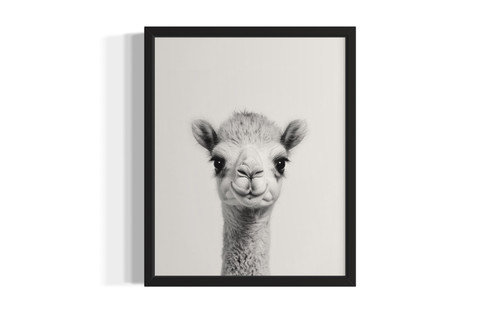 Camel wall art poster print