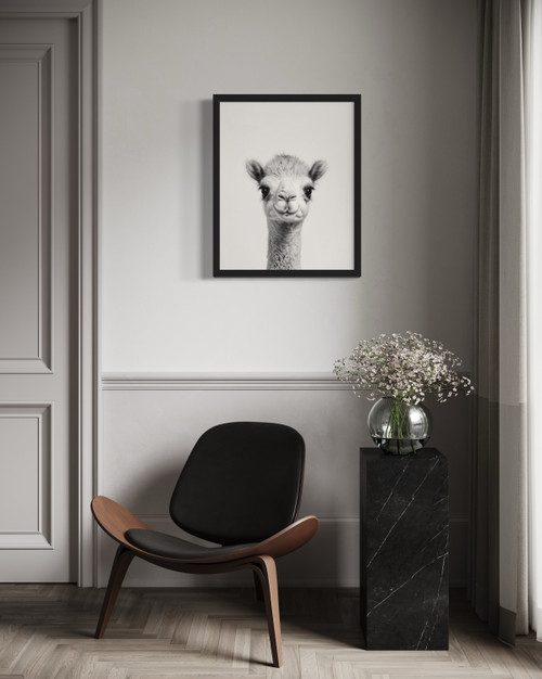 Camel Wall Art Print Poster