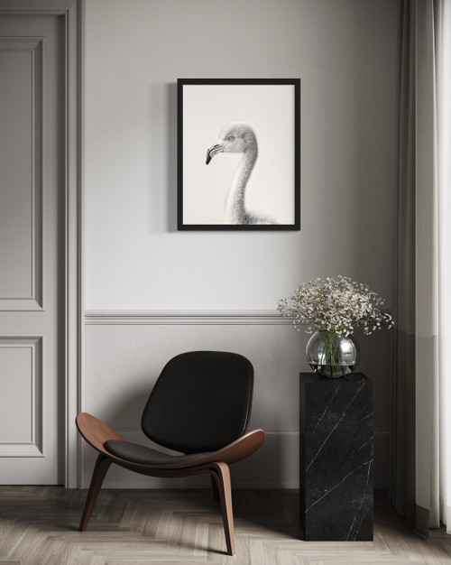 Flamingo  Wall Art Print Poster