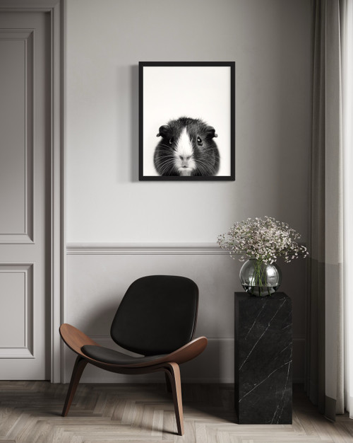 Guinea Pig Wall Art Print Poster