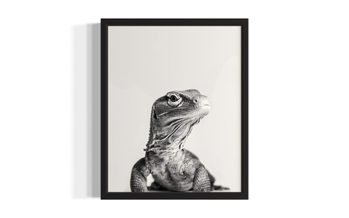 Komodo Dragon wall art poster print
