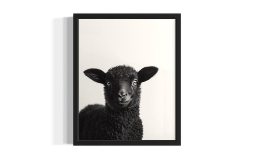 Sheep wall art poster print