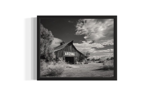 Arizona Vintage Black and White wall art poster print