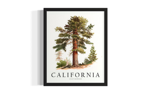 California Tree wall art poster print