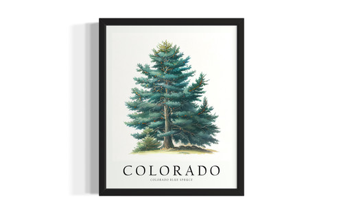 Colorado Tree wall art poster print