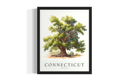 Connecticut Tree wall art poster print