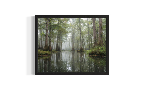 Illinois Cache River State Natural Area wall art poster print