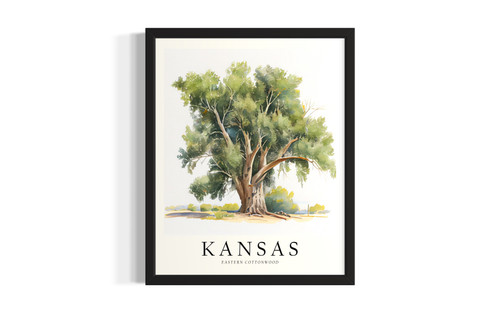 Kansas Tree wall art poster print