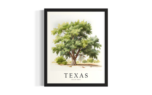 Texas Tree wall art poster print