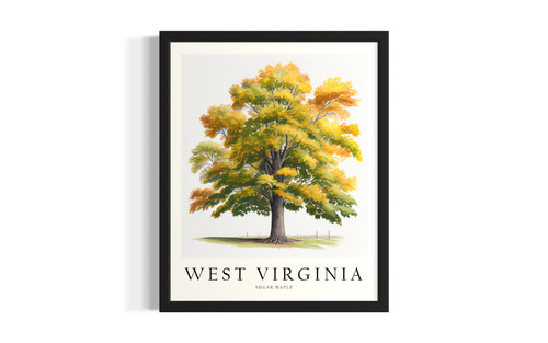 West Virginia b wall art poster print