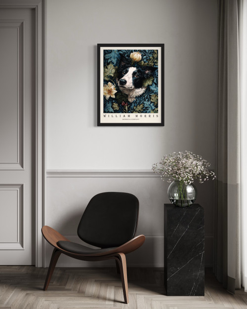 Border Collie Wall Art Print  Poster
