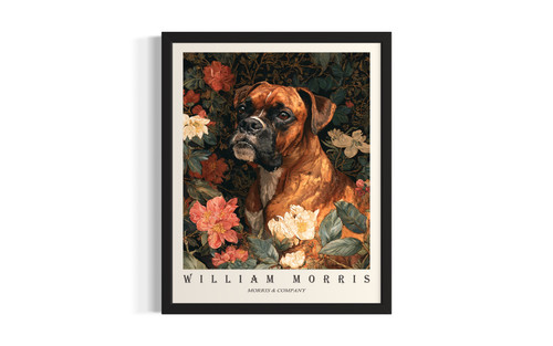 Boxer wall art poster print