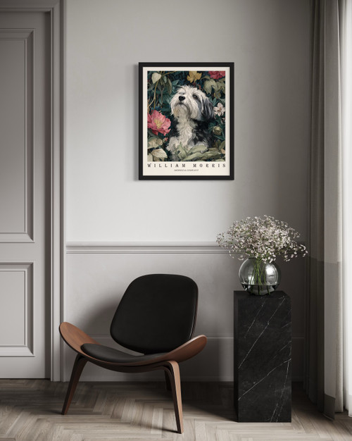 Havanese Wall Art  Print  Poster