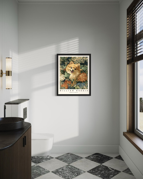 Pomeranian Wall Art  Print  Poster