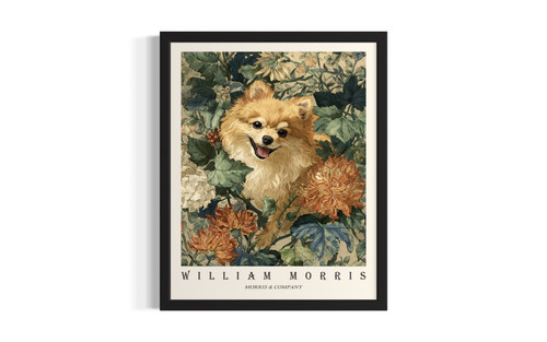 Pomeranian wall art poster print