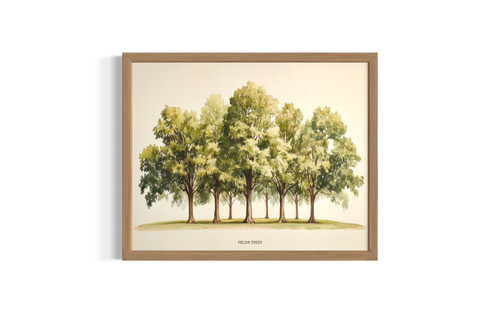 Pecan wall art poster print