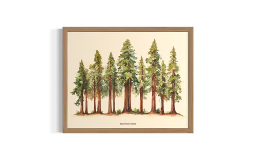 Redwood wall art poster print