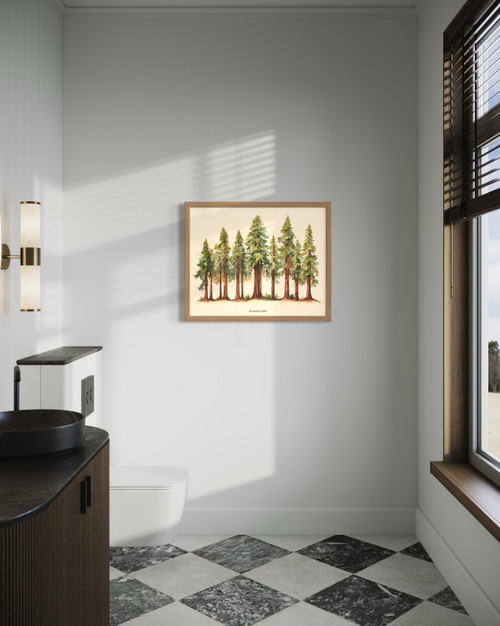 Redwood Wall Art Print  Poster