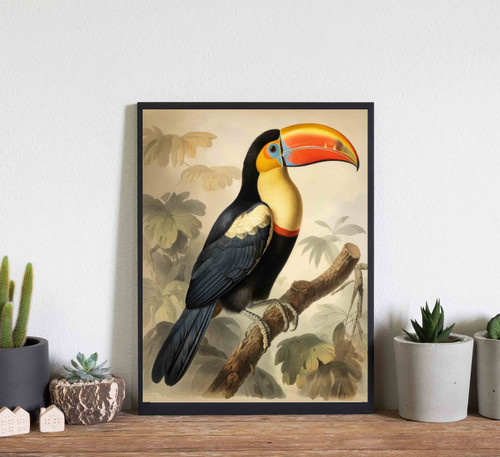 Toucan Vintage Bird Art Print Poster