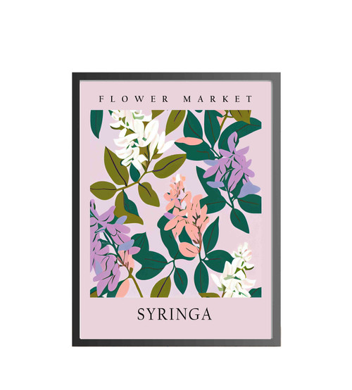 Syringa Flower Art Print Poster