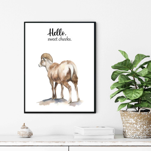 BIghorn Sheep "Hello Sweet Cheeks" Art Print Poster