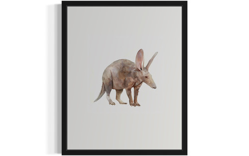 Aardvark Art Print Poster