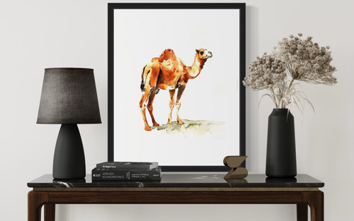 Camel  Art Print Poster