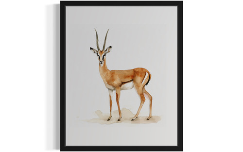 Gazelle  Art Print  Poster