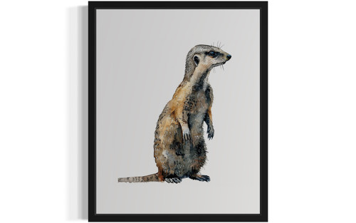 Mongoose Art Print Poster