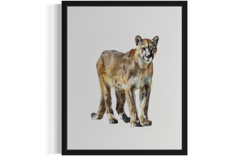 Mountain Lion  Art Print  Poster