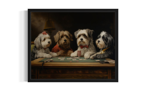 Havanese cards  Art Print Poster